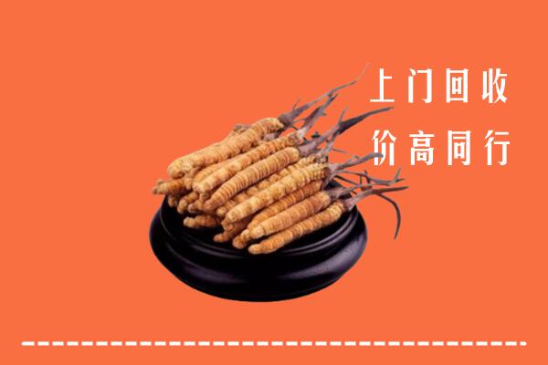 高价求购：沧州盐山县回收散虫草