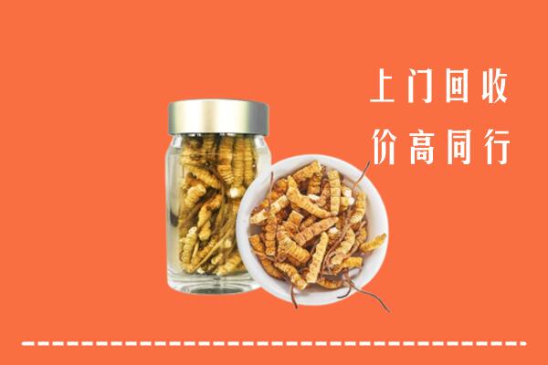 沧州盐山县回收冬虫夏草