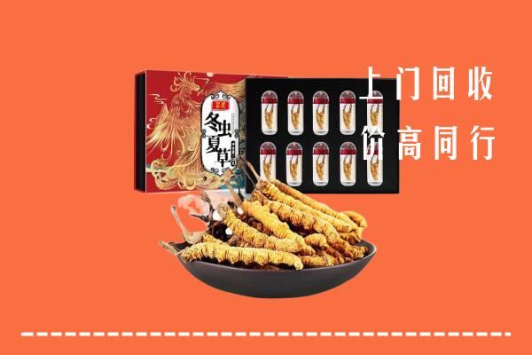 沧州盐山县回收虫草